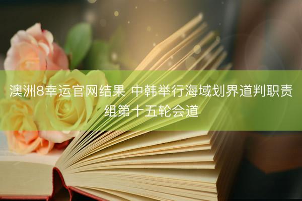 澳洲8幸运官网结果 中韩举行海域划界道判职责组第十五轮会道